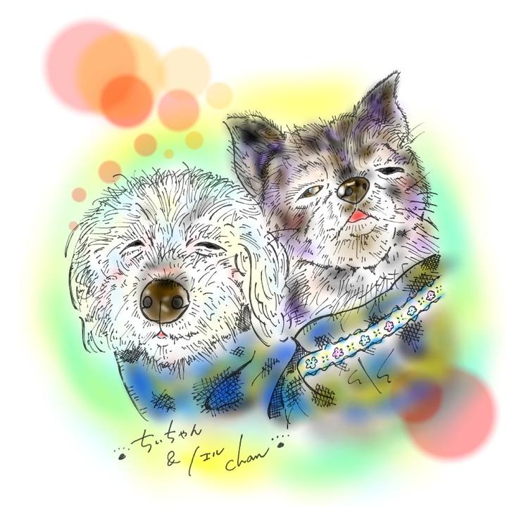 Cade8a21 f8b7 48bf b542 b7507f254dff 1586278673720