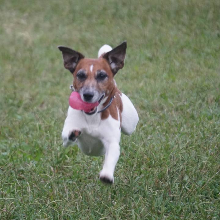 Cadeb672 b32c 4bb6 90f3 3d0c24d0c042 1602458104728