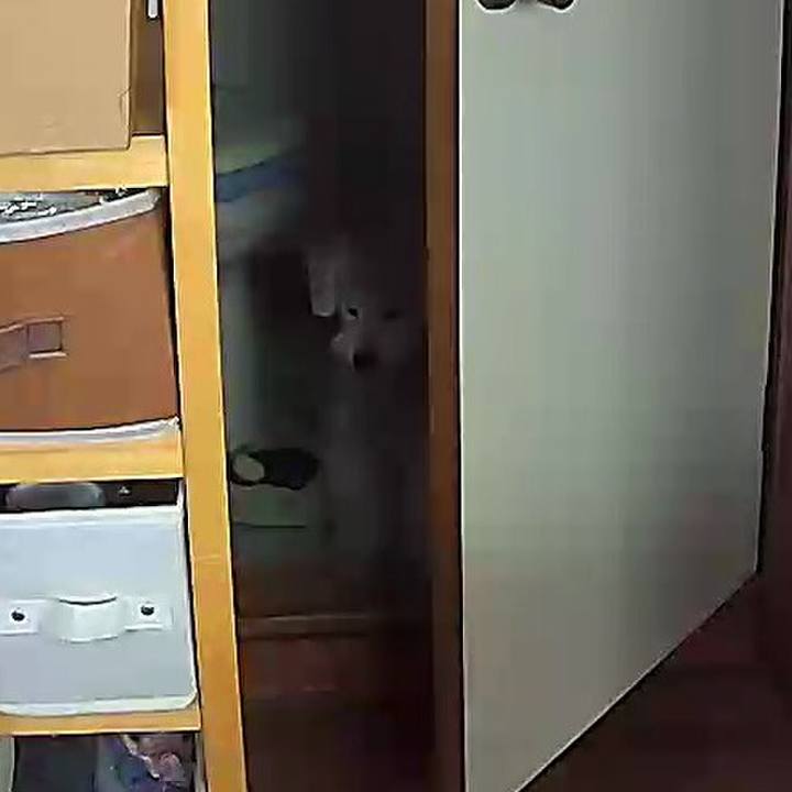 Cadebb3c eb2c 48b9 a98f b0e8f3f9957e 1627732799977