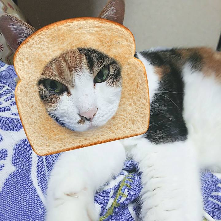 Cadec4a4 ff69 41d0 aa3b f1e40b31b84a 1566647546171