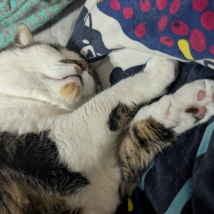 Cadec8ea c0e7 4577 a198 ec0c859f5347 1775351844373