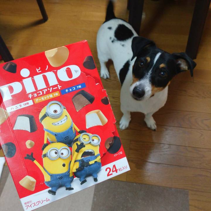 Cadf0c9b ce8b 4942 bdc2 4debd2d3fcea 1568456755570