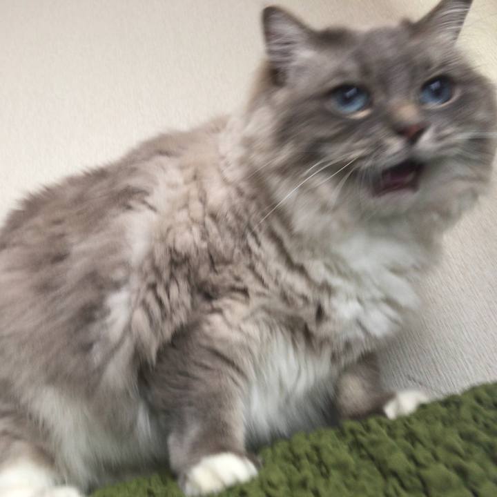 Cadf11f8 16a6 4253 be6f eae932e57601 1508716457941