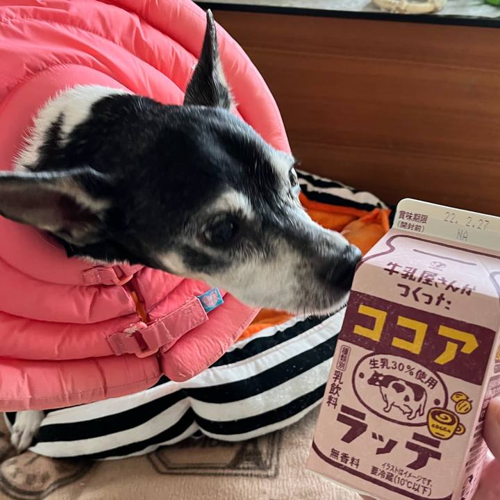 Cadf211b a311 469b 9947 a5f85207281c 1645254961394