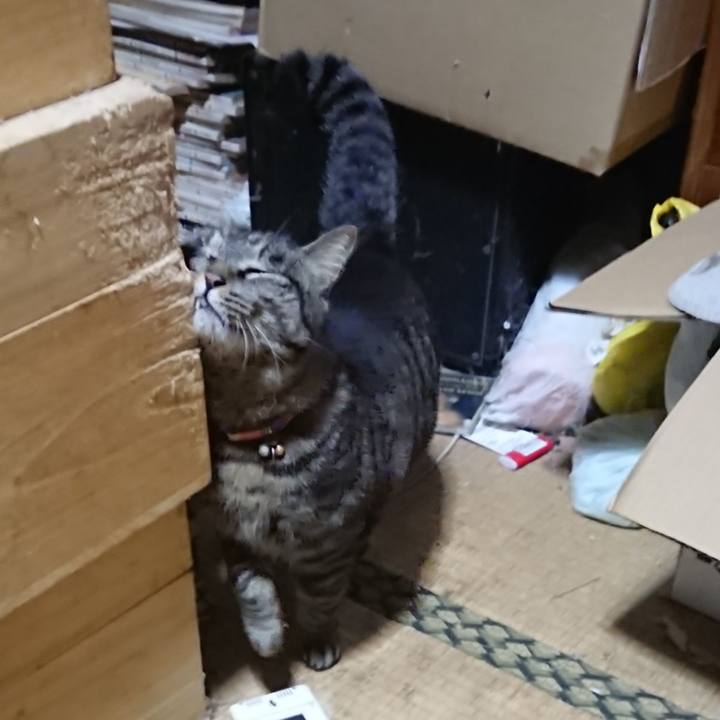 Cadf3c63 448f 443b 841f 50d712796f80 1644526374196