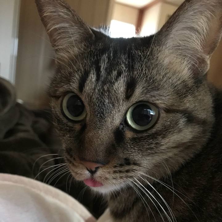 Cadf55c2 4319 4b0f 9eb0 936fedaefed9 1526201102085