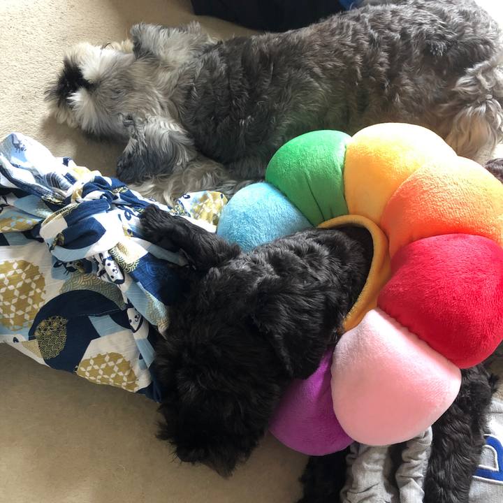 Cadf59b3 9366 440a 85a4 1081b9ad421a 1663559127354