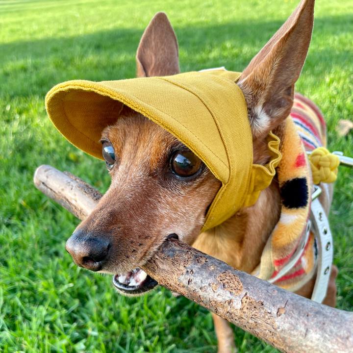 Cadf7796 be89 44e9 9bca e90d919bb317 1697944138053