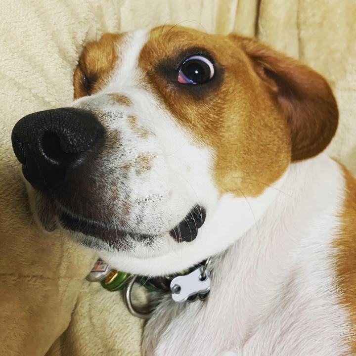 Cadfb102 a5e8 4dfd a6c2 f804b8e17f60 1580005412992