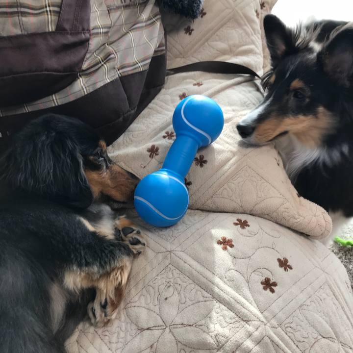 Cadfb182 23c7 41ef a3b4 e4fc2348402d 1518824150062