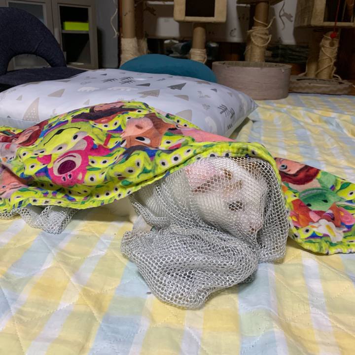 Cadfb4b5 08e3 4778 bdcf cbf2f0d1fc99 1559049010939