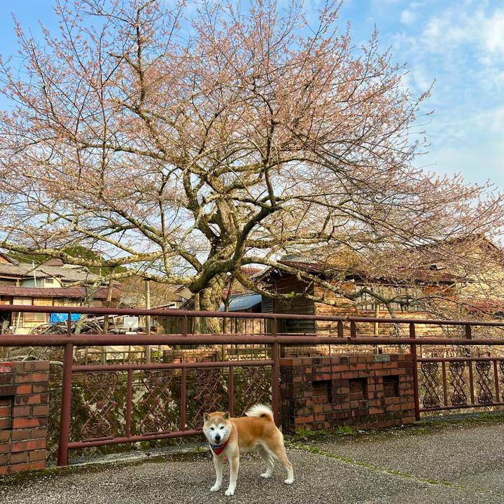 Cadfd440 e696 46bc 9f2f f2fca89bd653 1745061483368