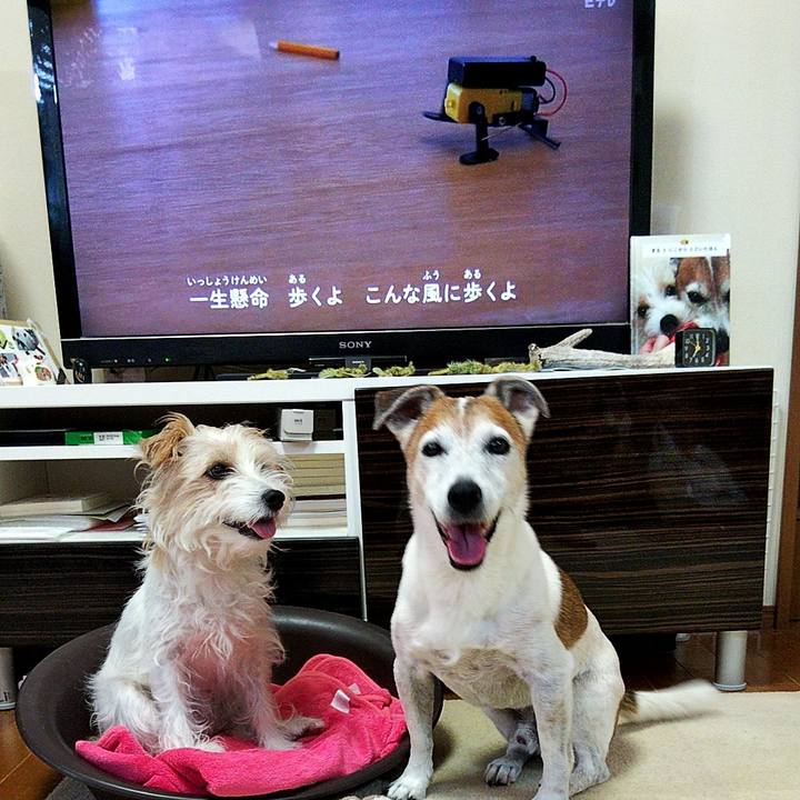 Cae03a87 6f90 498a a0f6 9460c2f4bd62 1568672058691