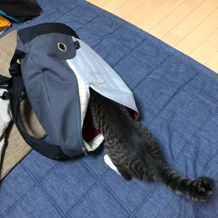 Cae06911 40fc 4291 a649 88e3c1ae0c48 1525361769946