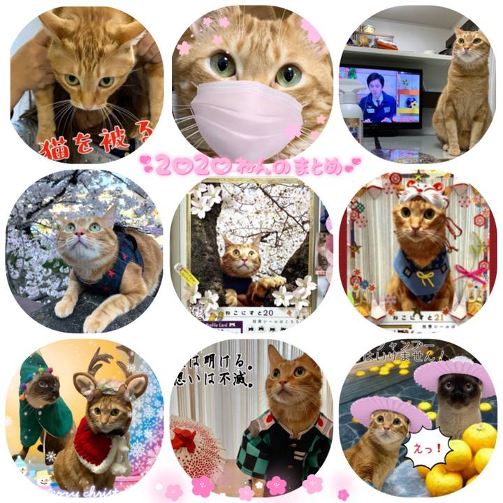 Cae08070 03b6 4367 9a1b e7f37889c978 1609380738124