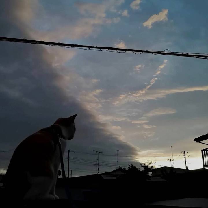 Cae09db4 4803 472e a9a5 c48d2c6867be 1531313377851