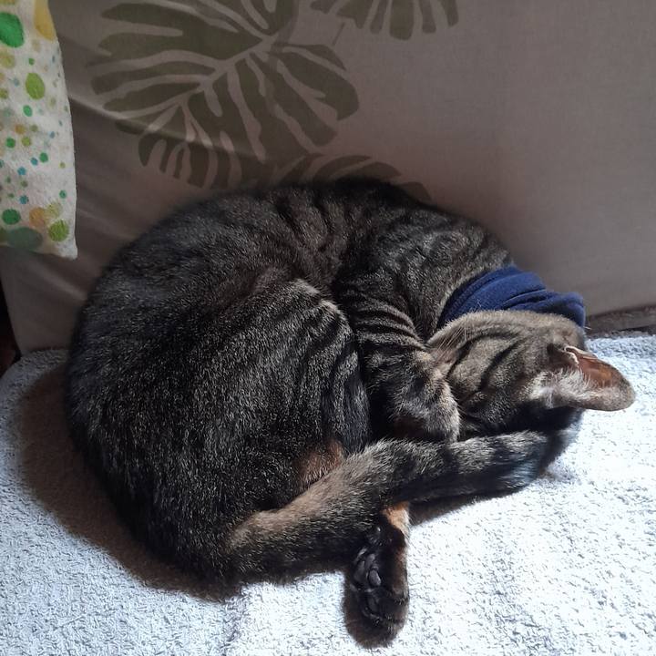 Cae0cb55 771f 431b aab4 1dd5e8365a46 1757410743608