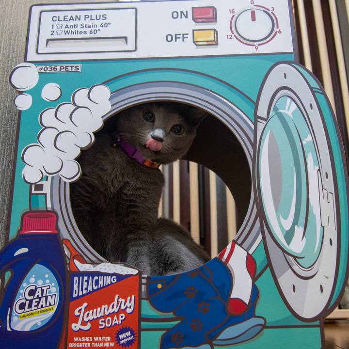 Cae0cb6b 4623 402e 9ca8 720c7957bc16 1630974329475