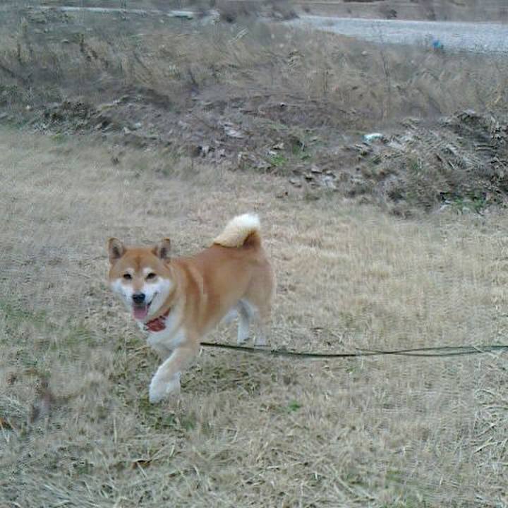 Cae0f6bf 5d4d 46d4 95b9 d0755a4f281f 1514631532579