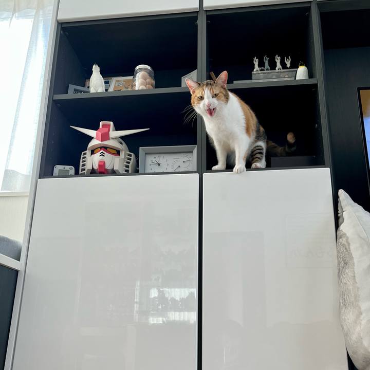 Cae15208 ff44 4c9d 9d9f 3b8e65985fdb 1765940733332