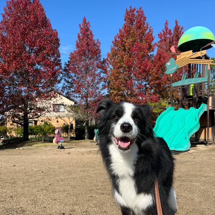 Cae15c44 0748 4789 8f36 866c967e2d48 1761958803986