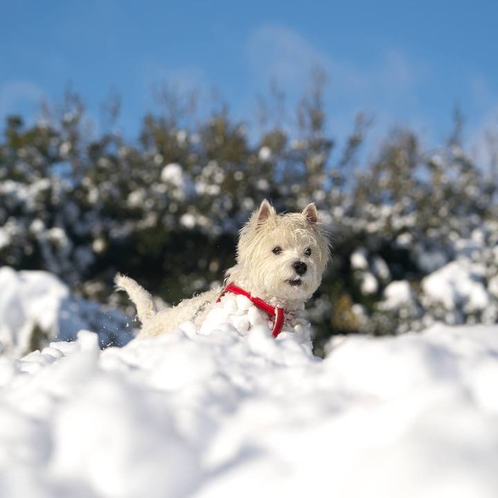 Cae16a68 c755 4157 a393 b09ed18a9695 1516745916679