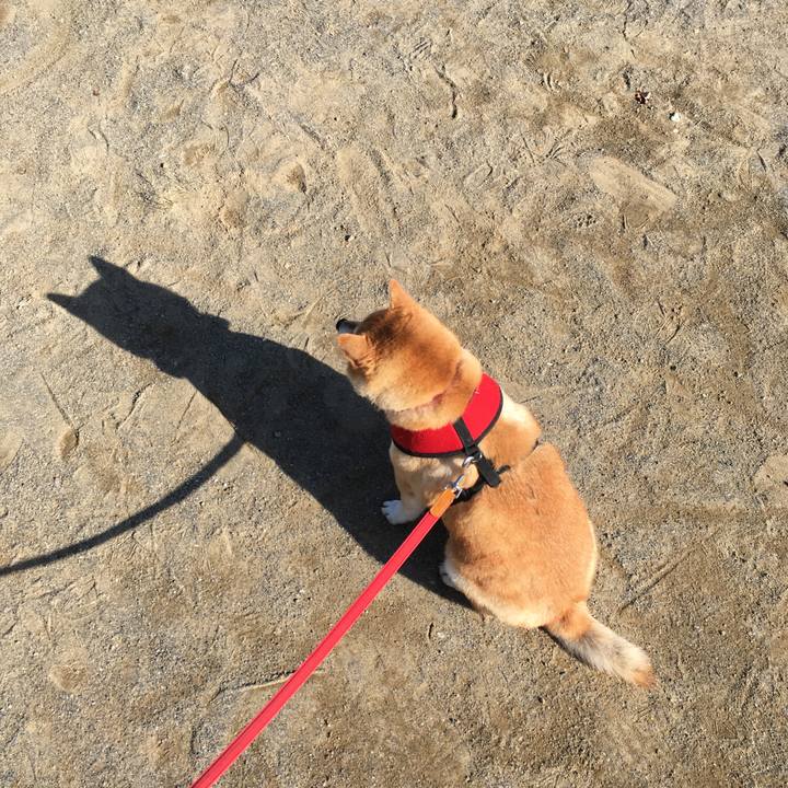 Cae1c5c3 e2ef 487e 841c 257b4ed9e09d 1602029122178