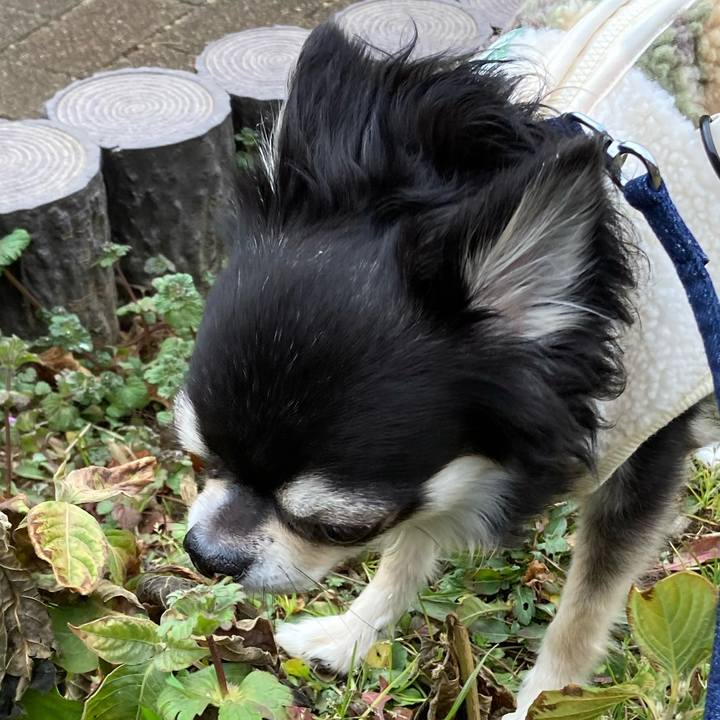 Cae1c857 548b 4ddb a2b2 51808de4ea3b 1673754665557