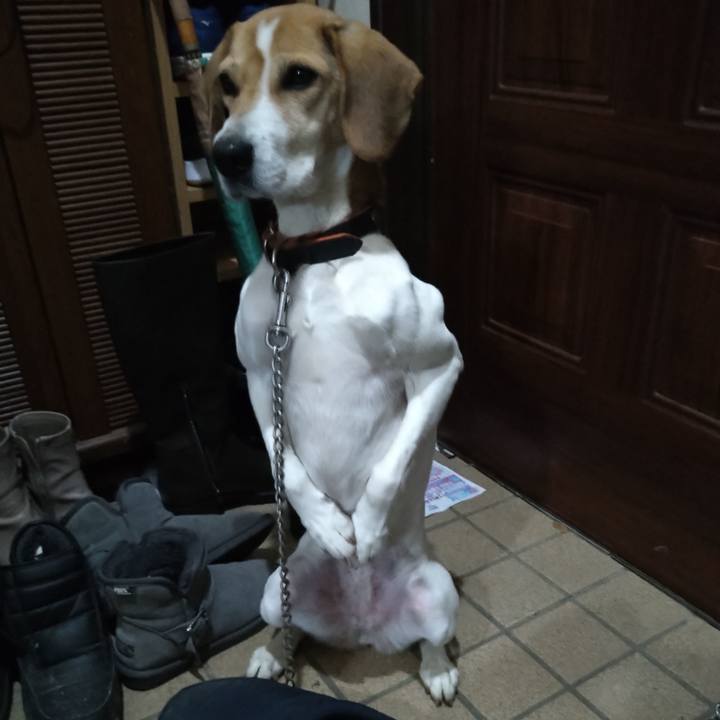 Cae1e3a3 c581 41df 8c50 f7b988596c03 1641030666274