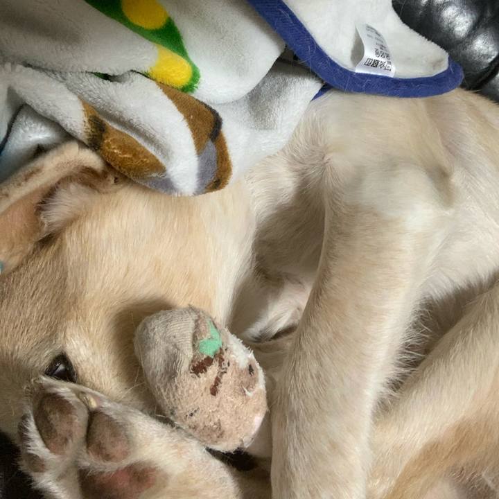 Cae1ff4c 2a3c 4bff 8438 f846c1dc9160 1608280107913