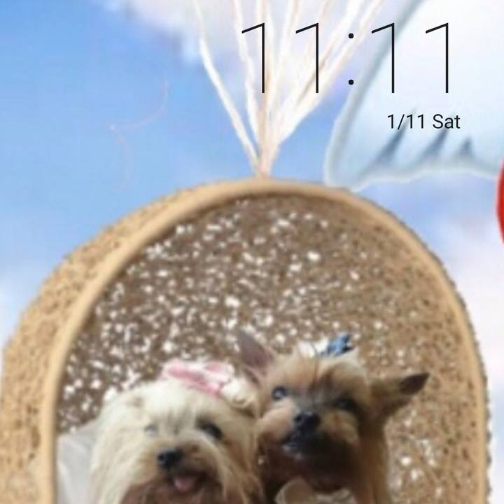 Cae241cc bb09 4cbc 91ef d4628a83c296 1578708868909