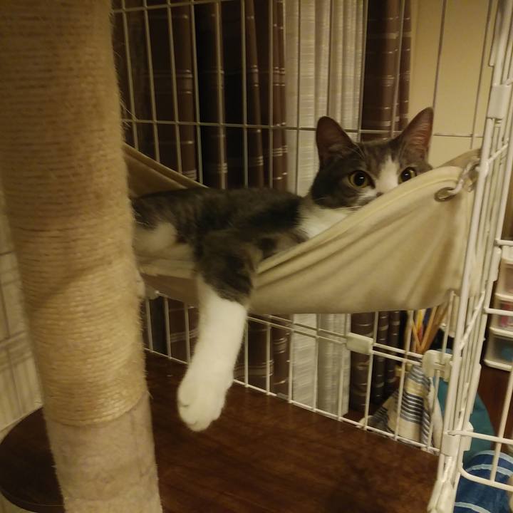 Cae24bbf 704e 45e0 86dc e60ea5058d05 1589893569452