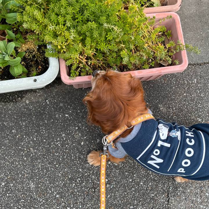 Cae24d66 e2f2 4ec6 8e81 6954238be717 1770338682807