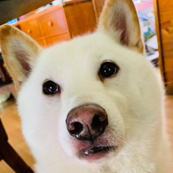 Cae25b75 c2f7 49e8 bb5c ff67fbd5fbda 1596141423437