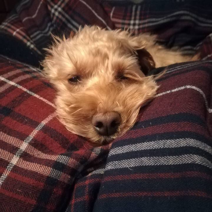 Cae26702 0149 406b bdaf fc3017a279e0 1573539358257