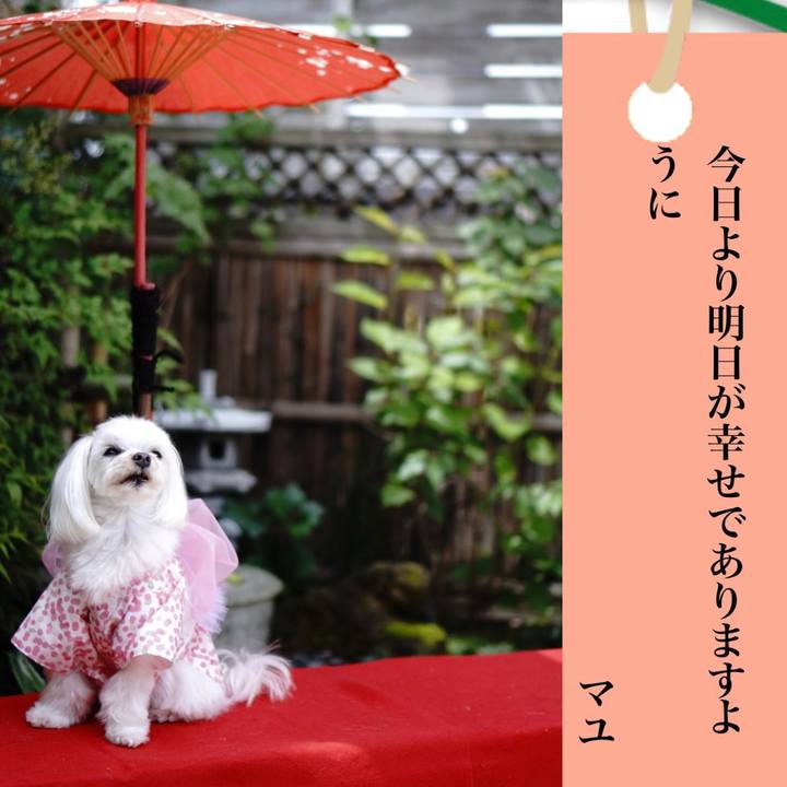 Cae294e8 e4c4 4abf a496 456665e8c410 1657149644027