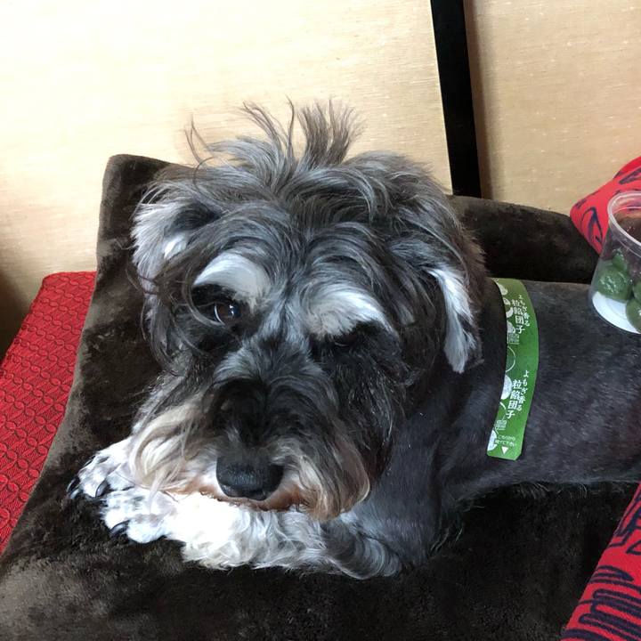 Cae29efa 8699 4d79 961f a84d3c881e76 1560671282854