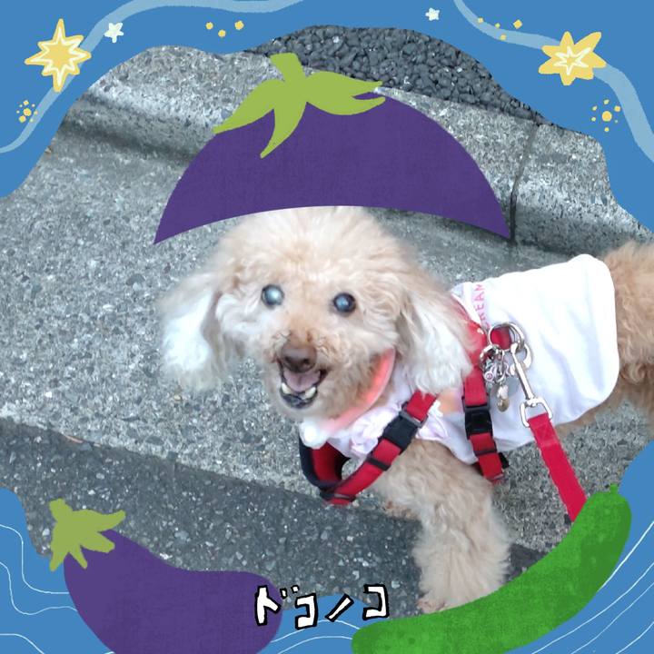 Cae2d95b 13fe 4f0a b89c 33692d4cc701 1755434761805