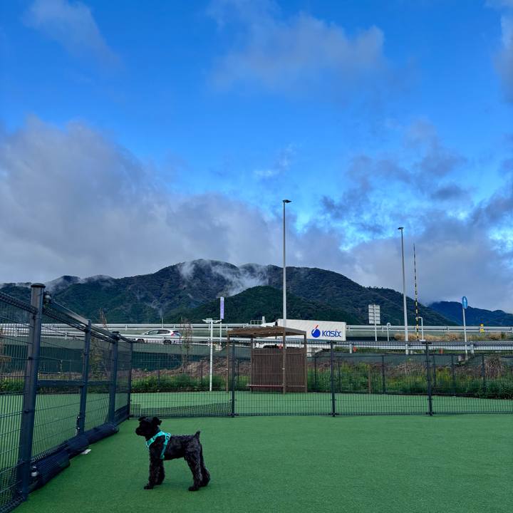 Cae2f662 f3ce 494b 95da d7625d185b43 1761984805102