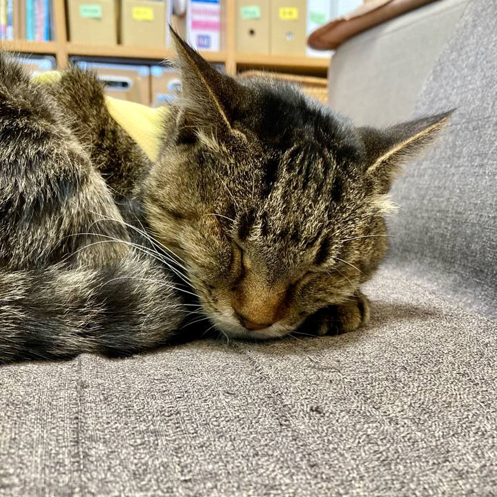 Cae2fb75 d563 4ae5 8ae4 a81cc32e2f03 1682983900665