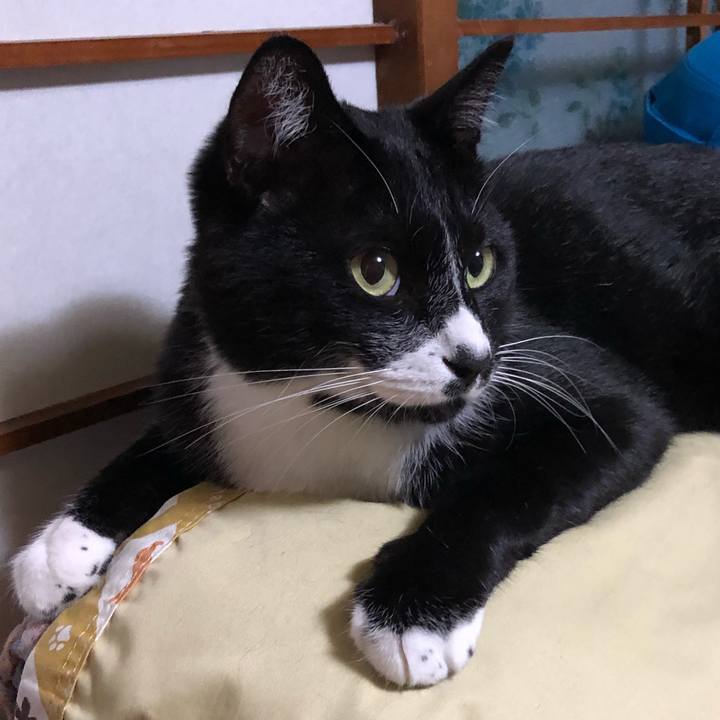 Cae2fde9 1ecb 4d8f 90c5 7c82fb7fe3f1 1600744957352