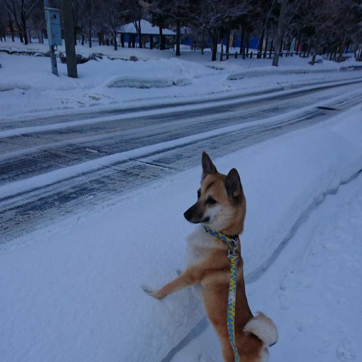 Cae30d3b 6ff0 47a4 aa6c 600b83d90996 1519012801761