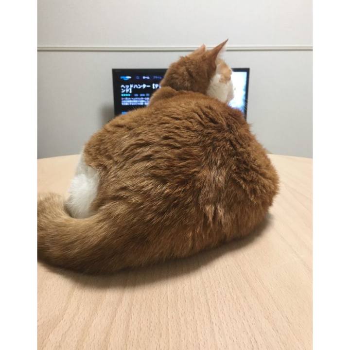 Cae33de9 6769 4036 9844 8fa3266881a8 1587083527200