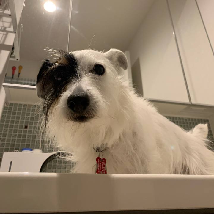 Cae386d1 c1cd 4993 8d4e 0abb340cd214 1684760458745