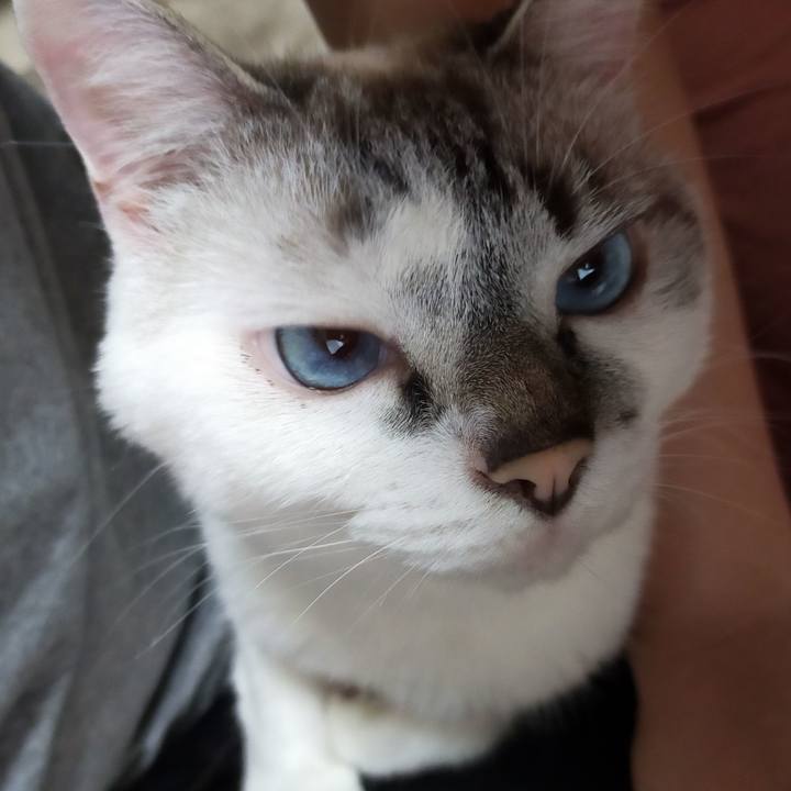 Cae3a40d 7256 4ed3 b992 31263f0dfd5f 1595924528235