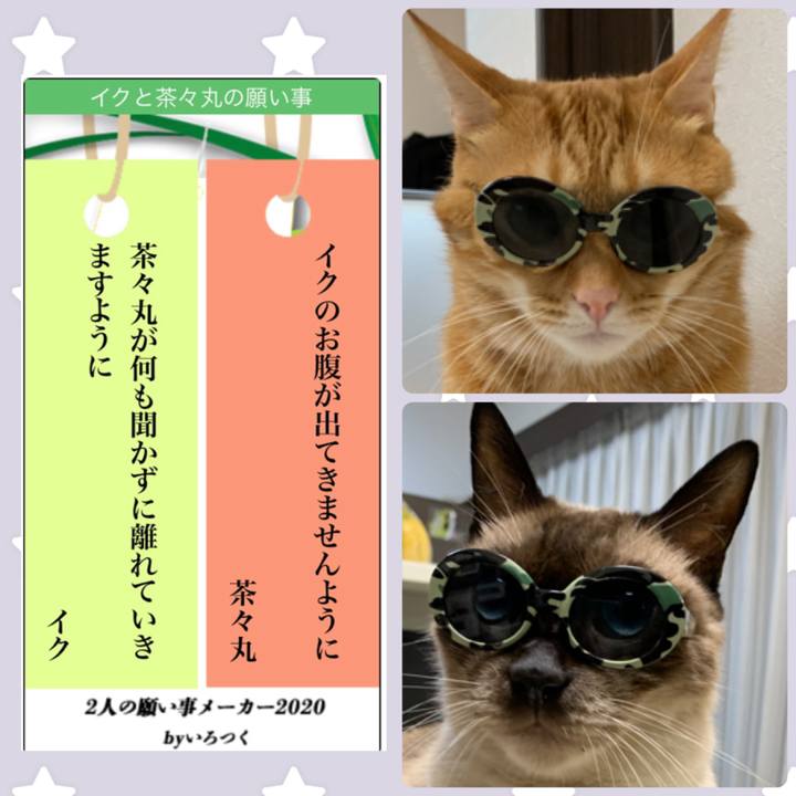 Cae3a476 80bf 46a4 af10 aa4cbdfc5636 1594131035488