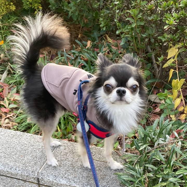 Cae3e96e f3b7 4b07 86f4 1bdc54a50466 1701515743308