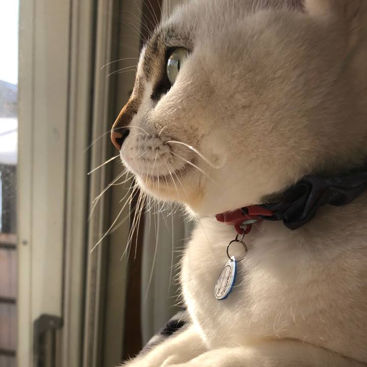 Cae424b2 62c6 4acd b8c7 e6073619631c 1516711061704