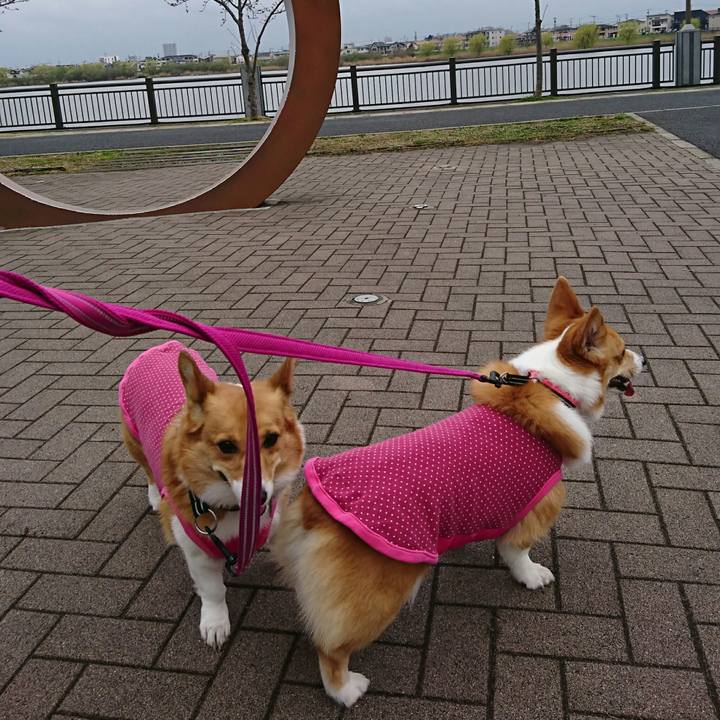 Cae452a8 edba 4aa4 a583 202fcfa9dce8 1521535931609