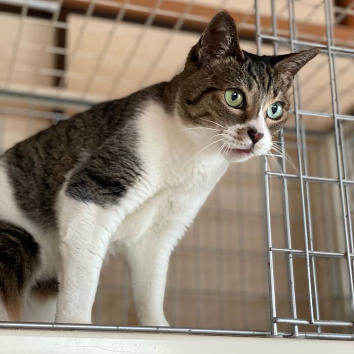 Cae4bd37 833a 4a11 843c 811a10bf0bb6 1648935355050